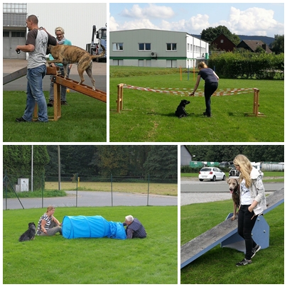 Hundeschule Events